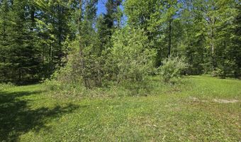 2115 Drummond Rd, Alger, MI 48610