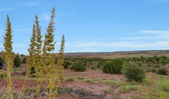 14 COUNTY ROAD 5309, Concho, AZ 85924
