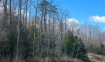 Friends Mission Road lot 4010-19-1, Ararat, VA 24053