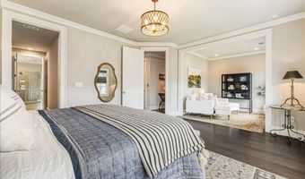 204 Violet Garden Walk, Alpharetta, GA 30004