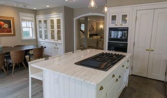 229 W Hallam St, Aspen, CO 81611