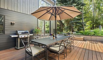 1145 Black Birch Dr, Aspen, CO 81611