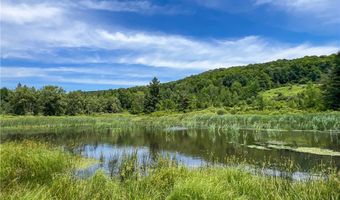 0 Woodland Hills Rd, Andes, NY 13731