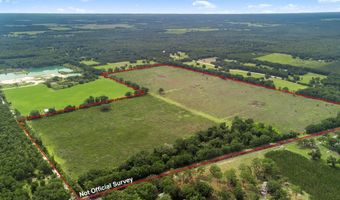 7009 129 Hwy, Bell, FL 32619
