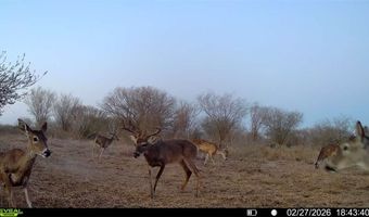 CR 119 lot 0, Alice, TX 78332