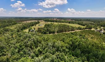 Lot # 1 - 6.2 Ac Perry Horton, Adrian, GA 31002