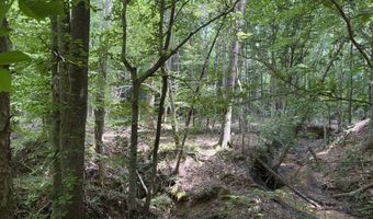 Beauty Hill Rd lot 4, Bethel Springs, TN 38315