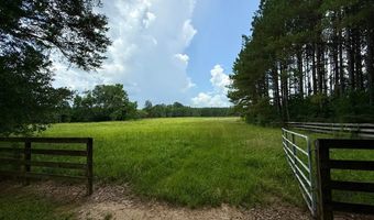 3100 Wallace Dr, Bogue Chitto, MS 39629