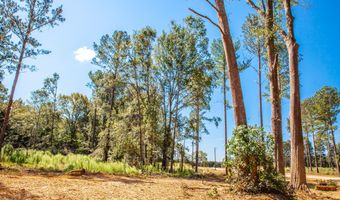 535 Rabbit Pen Dr, Appling, GA 30802