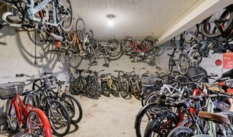 205 E Durant Ave 1-B, Aspen, CO 81611