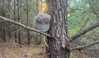 0 Cedar Ln, Alexander City, AL 35010