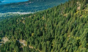NKA Silver Creek Road, Clark Fork, ID 83811