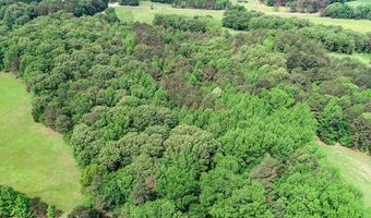 John Branch Road, Batesville, MS 38606