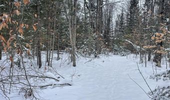 9606 Munger Rd, Afton, MI 49705