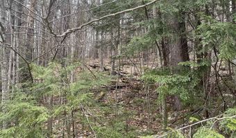 10-4 2 David Thompson Dr, Campton, NH 03223