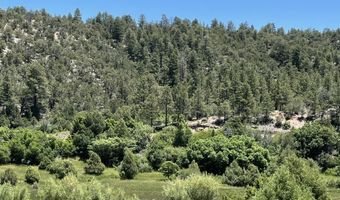 Forest Road 160, Chamisal, NM 87521