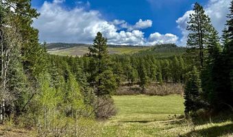 15098 CR 240, Bayfield, CO 81122