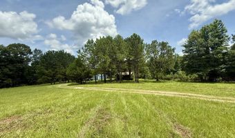 1581 Ms-528, Bay Springs, MS 39422