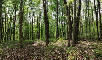 1271 A Tunnel Ridge Rd, Argillite, KY 41121