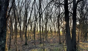 0002 CR-290, Asbury, MO 64832