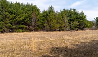 Dover Drive lot 2 +/-43 Ac, Adams, WI 53910