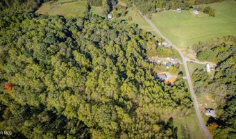 Davis Valley Road lot 8 & 11, Afton, TN 37616