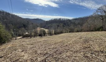 1135 Ned Clark Rd, Bean Station, TN 37708