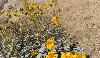 0 Fresz, Aguanga, CA 92536