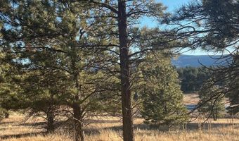 1 And 2 Lower Rd, Angel Fire, NM 87710
