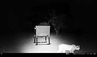 12415 County Road 356, Anson, TX 79501