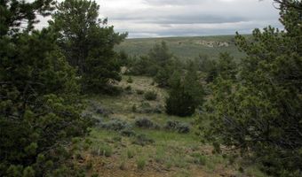 nhn Cottonwood Road, Bridger, MT 59014