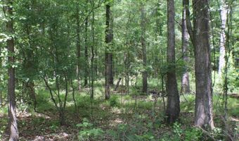 Vine Drive, Brandon, MS 39047