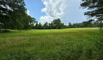 3100 Wallace Dr, Bogue Chitto, MS 39629