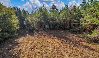 0 County Road 127, Banks, AL 36005