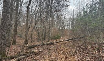 HARDWARE RD lot 2, Arvonia, VA 23004