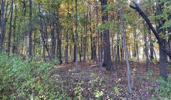 9540 Vincent Ave SE, Alto, MI 49302