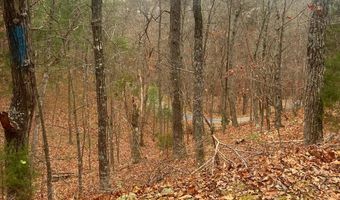 SPITZ Lane, Basye, VA 22810