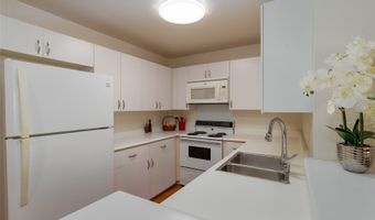 239 Mananai Pl 54F, Honolulu, HI 96818
