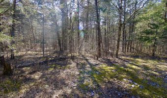 000 Eagles Nest Landing Ln, Bath Springs, TN 38311