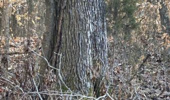 53 Beech Fork Ln, Athens, AL 35611