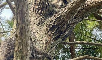 Bolivar Road, Benoit, MS 38725