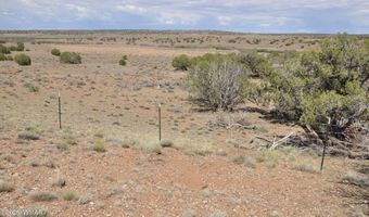 19 C & D County Rd N9033, Concho, AZ 85924
