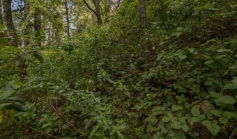 Lot 02 Cathedral DR, Aptos, CA 95003
