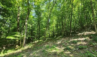 4622 Parker Loop Rd, Birchwood, TN 37308