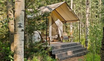 9555 Castle Creek Rd, Aspen, CO 81611