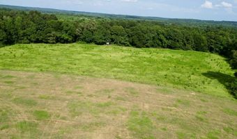 County Road 127, Banks, AL 36005