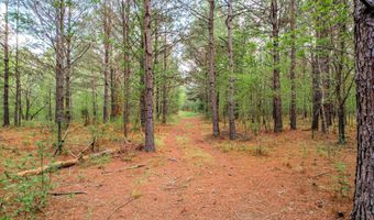 6995 Cobbham Rd, Appling, GA 30802