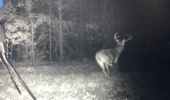 001 Farr Rd, Bolton, MS 39041