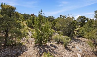 155 Oak Trail Cir, Cold Creek, NV 89124