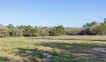 6254 County Road 180, Anderson, TX 77830